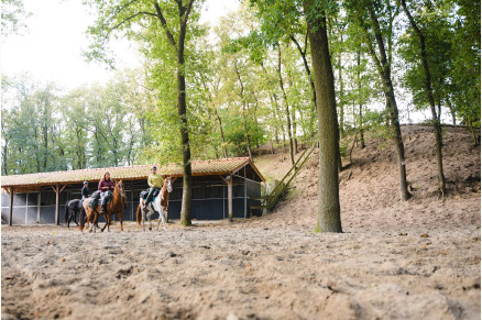  Overnachten met je paard in de Maashorst VMP102
